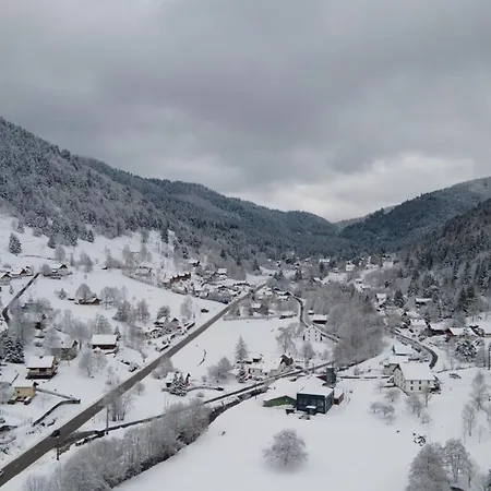Lägenhet Le Saint Georges A Dans Les Vosges *